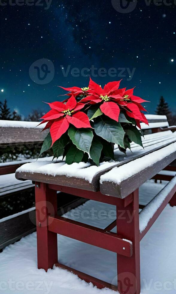 un flor de pascua planta descansando en un Nevado banco debajo estrellado noche cielo. ai generado foto