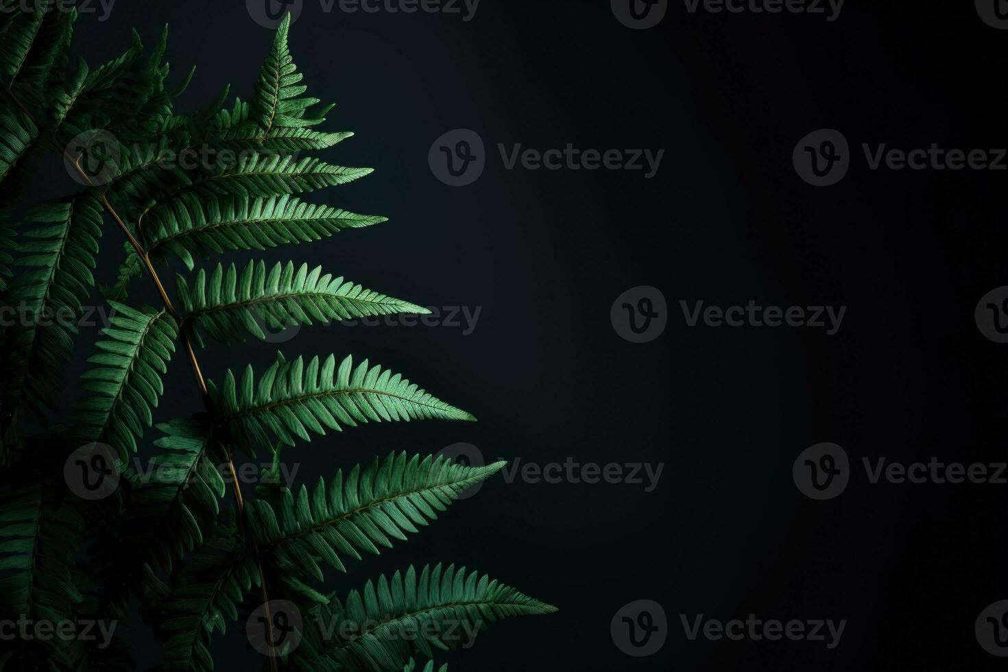 Fern leaves on a dark background. AI generated photo