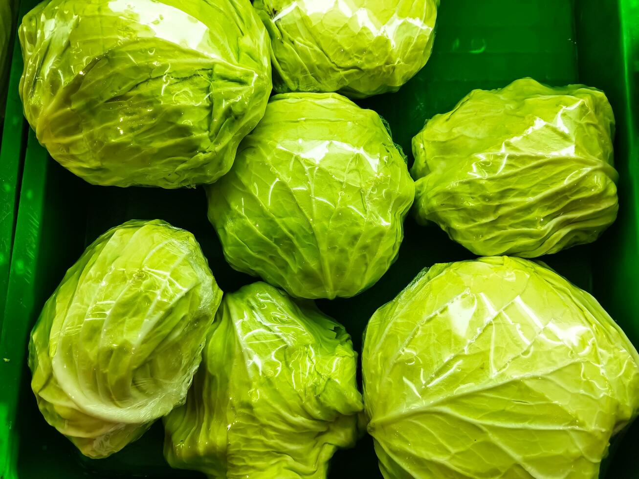 Fresh green iceberg lettuces isolated on green, top view photo