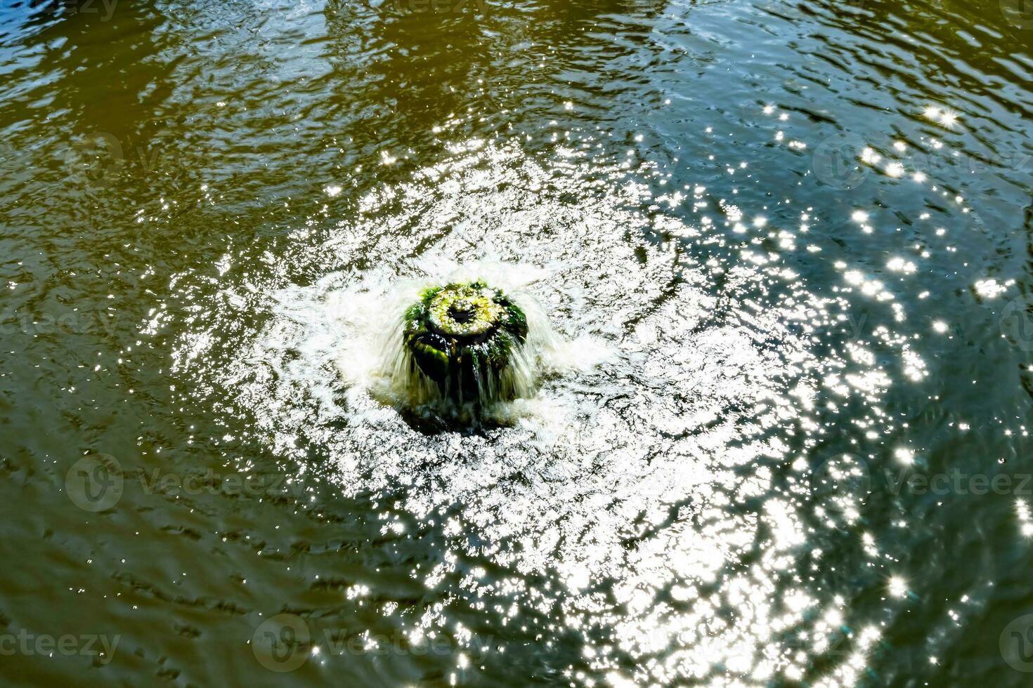 fotografía sobre el tema hermosa caída de agua de la cascada del jardín foto