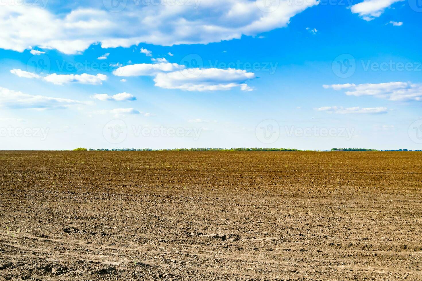 Photography on theme big empty farm field for organic harvest photo