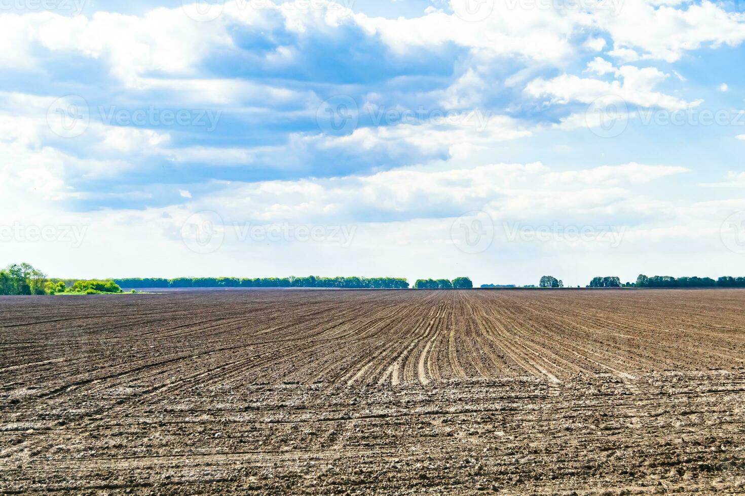 Photography on theme big empty farm field for organic harvest photo