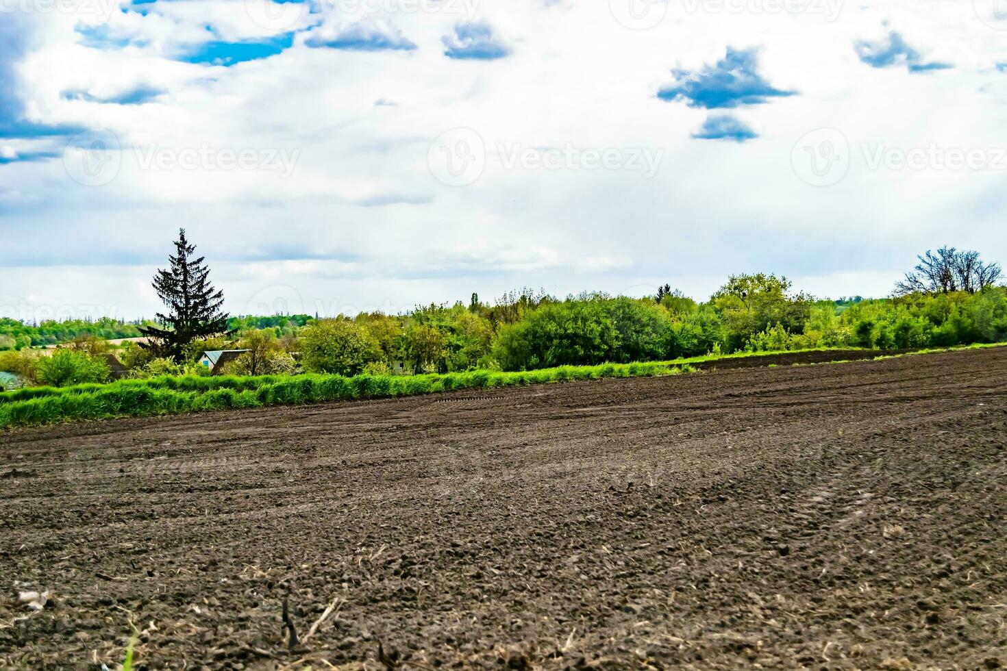 Photography on theme big empty farm field for organic harvest photo