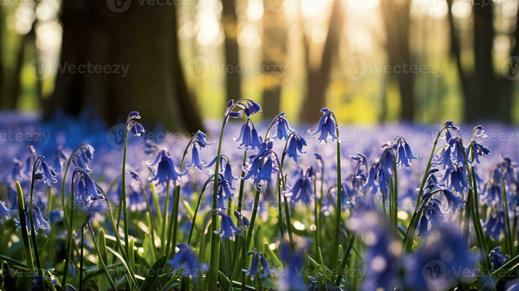 A beautiful field of bluebells in a sunlit forest AI Generated photo