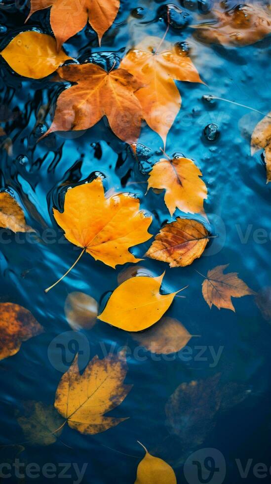 Floating leaves on water surface AI Generated 31227186 Stock Photo at