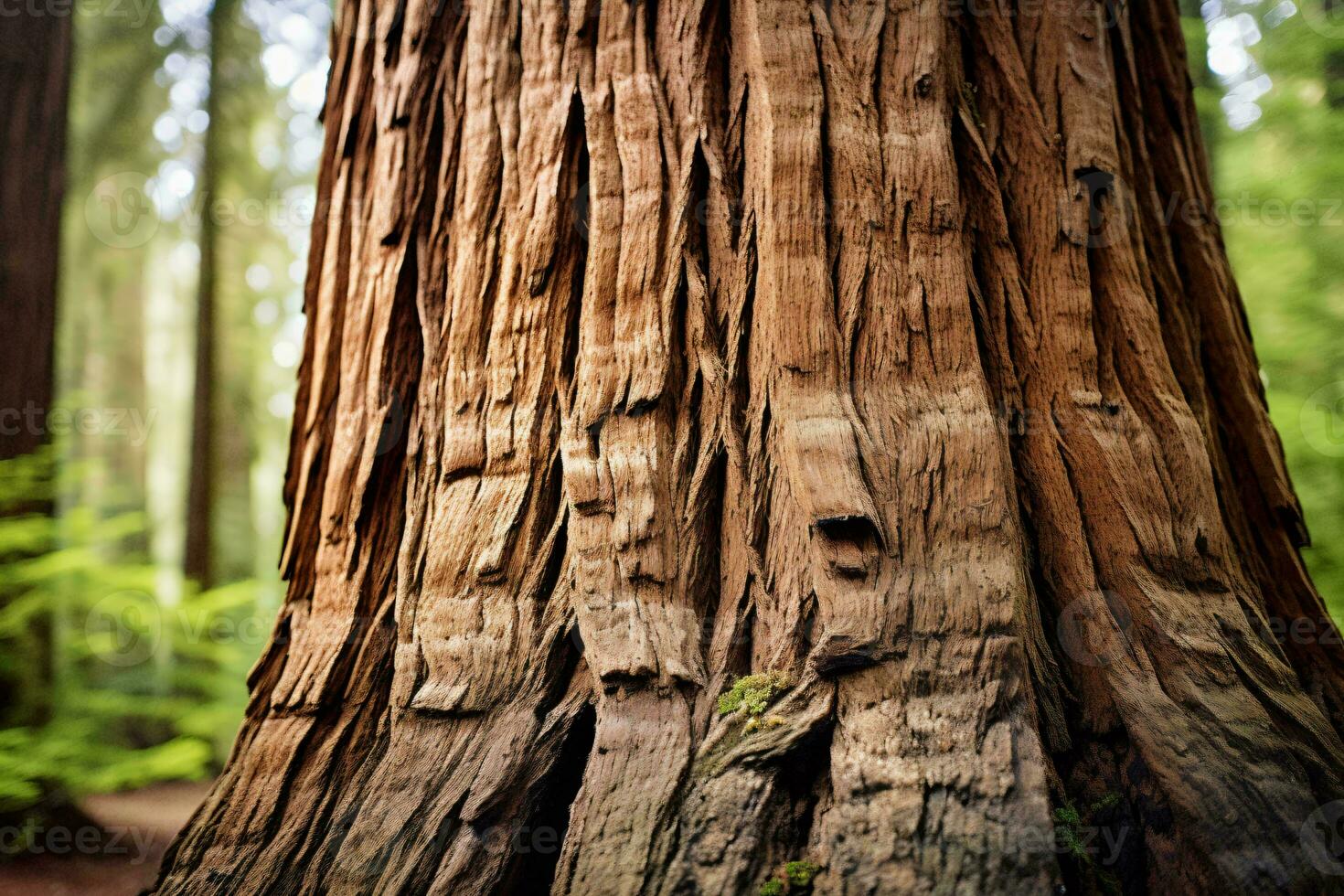 A detailed close-up of a majestic tree trunk in a lush forest AI Generated photo