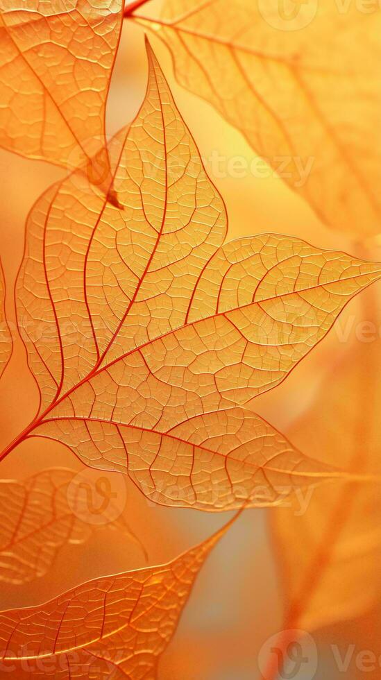 A beautiful leaf against a backdrop of the vibrant blue sky AI Generated photo