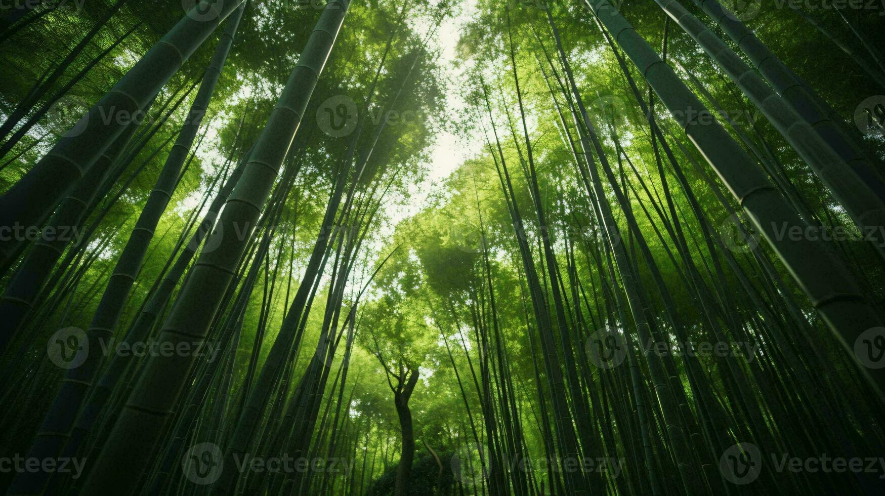 Sunlight streaming through a dense bamboo forest AI Generated photo