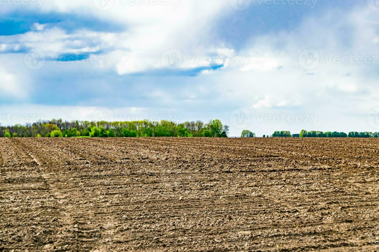 fotografía sobre el tema gran campo agrícola vacío para la cosecha orgánica foto