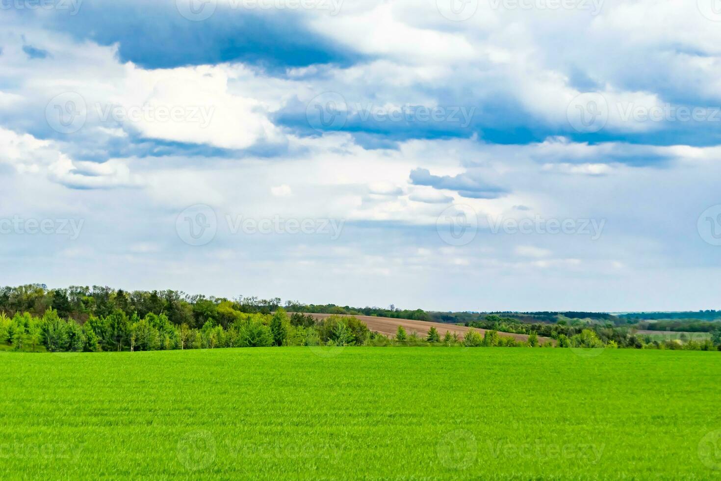 Beautiful horizon scenery in village meadow on color natural background photo