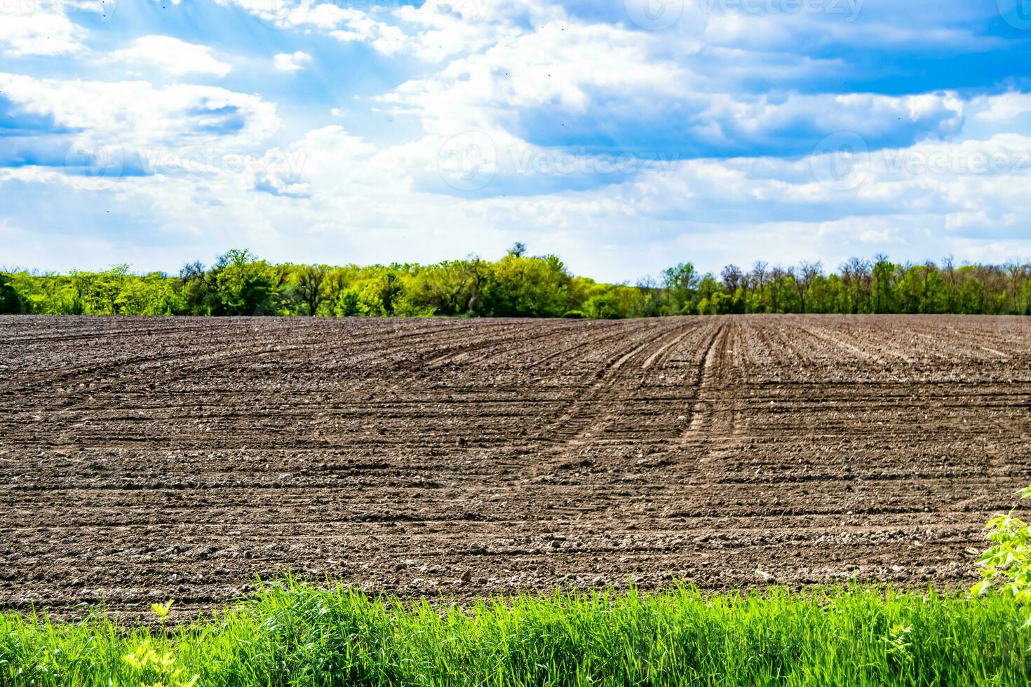 Photography on theme big empty farm field for organic harvest photo