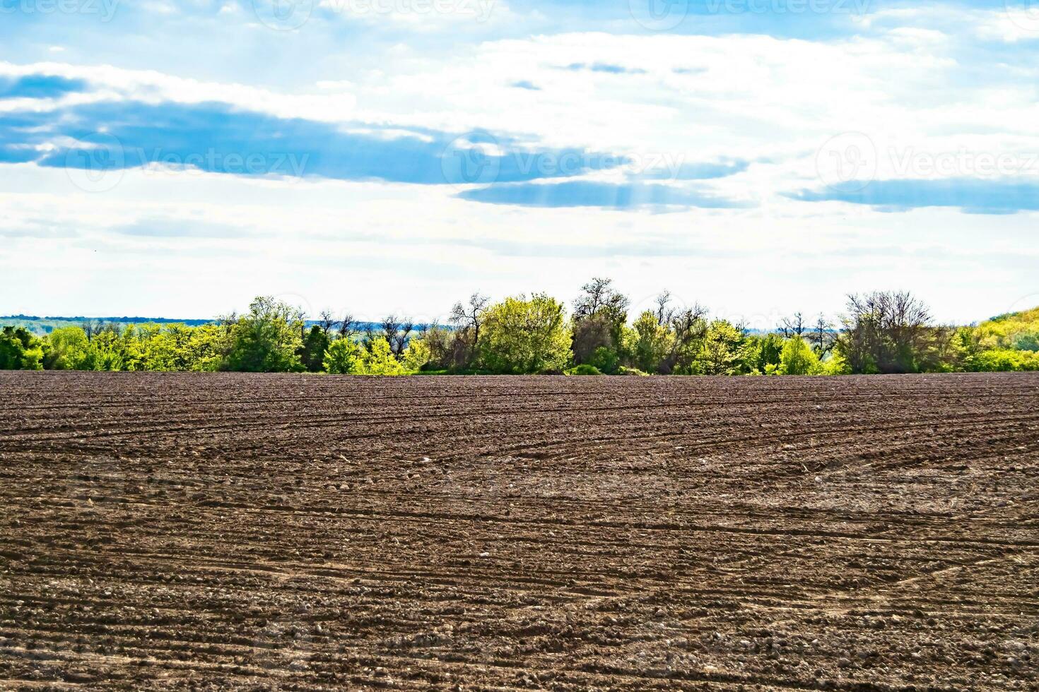 Photography on theme big empty farm field for organic harvest photo