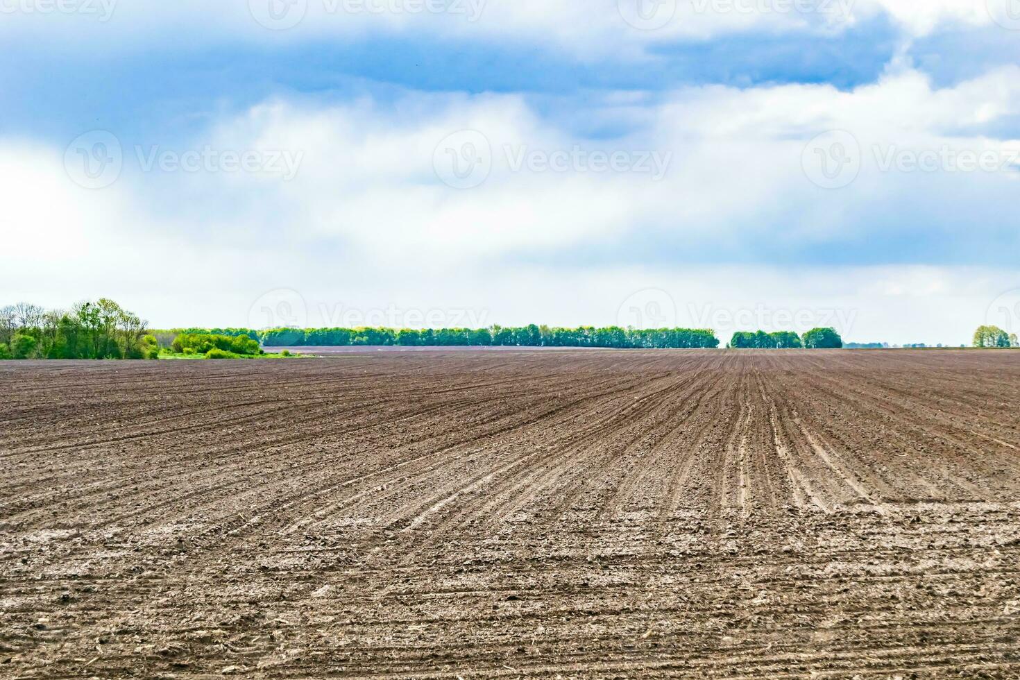 Photography on theme big empty farm field for organic harvest photo