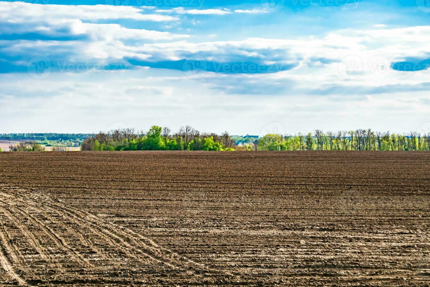 Photography on theme big empty farm field for organic harvest photo