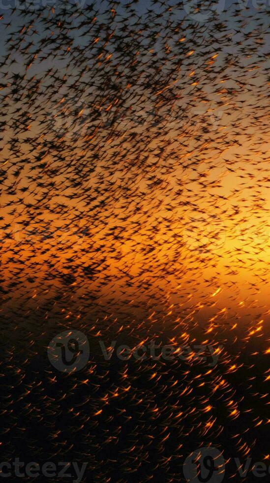 A stunning sunset with a flock of birds in flight AI Generated photo