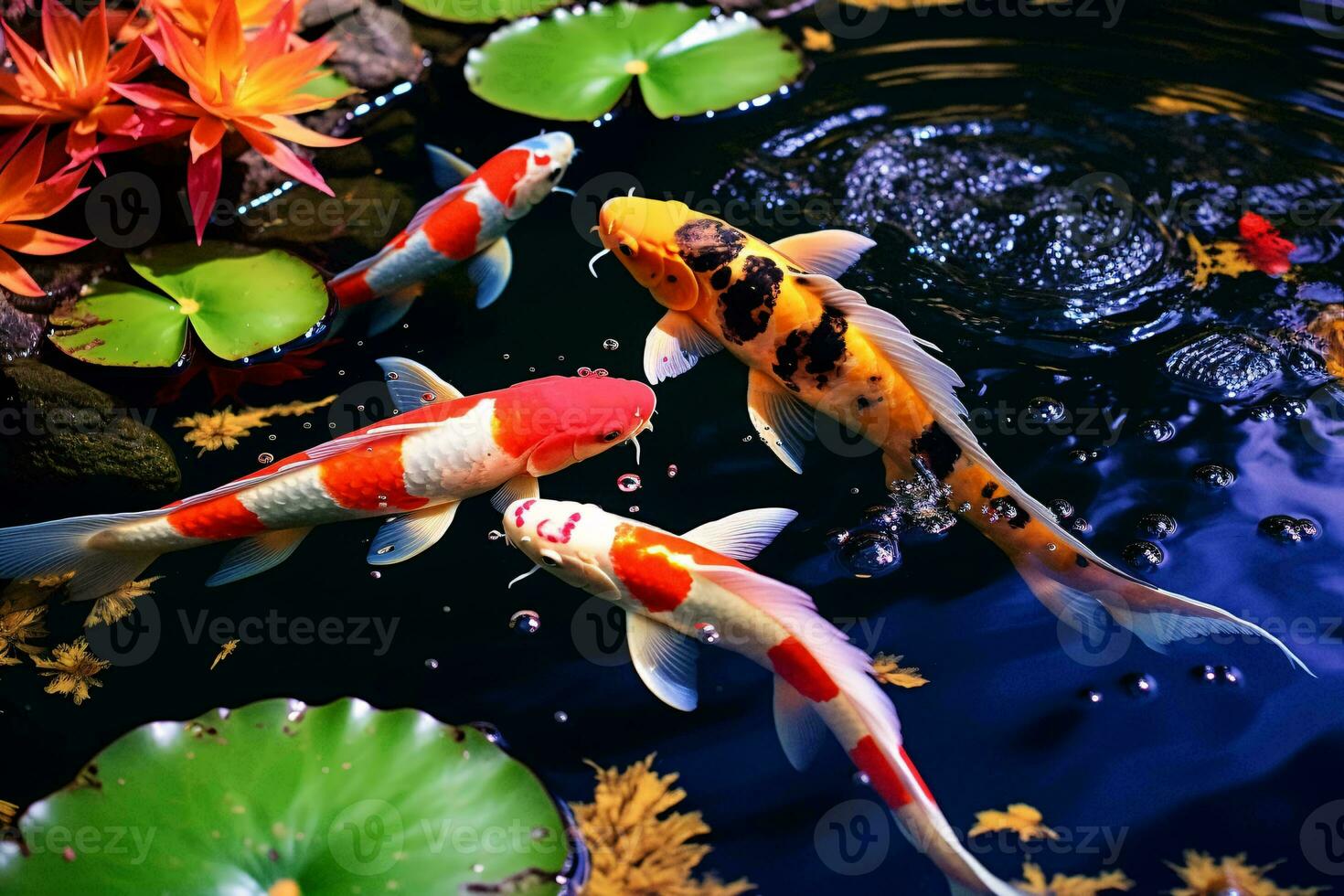 A vibrant school of koi fish gracefully swimming in a serene pond AI Generated photo