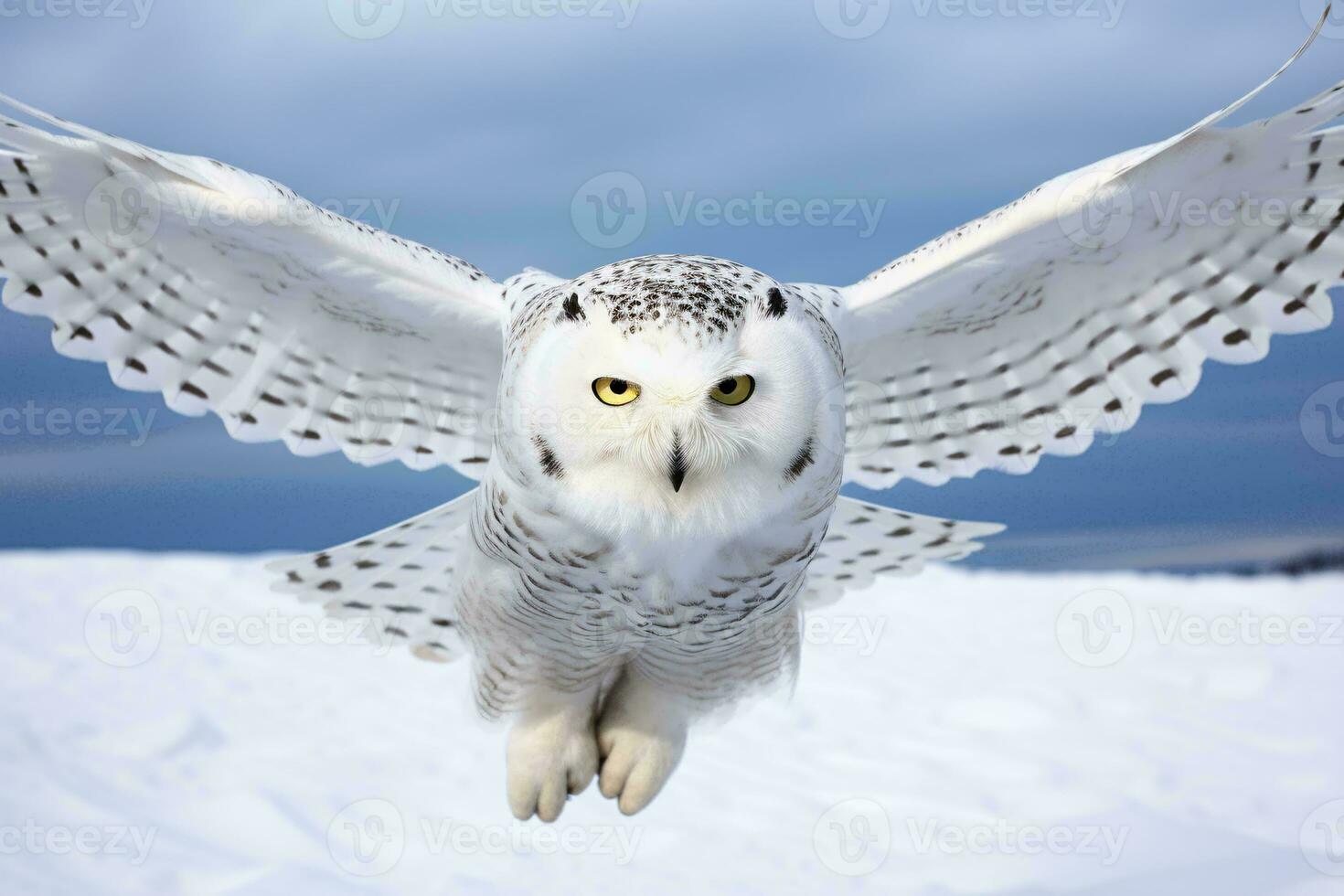 un majestuoso blanco búho en vuelo con cautivador amarillo ojos ai generado foto