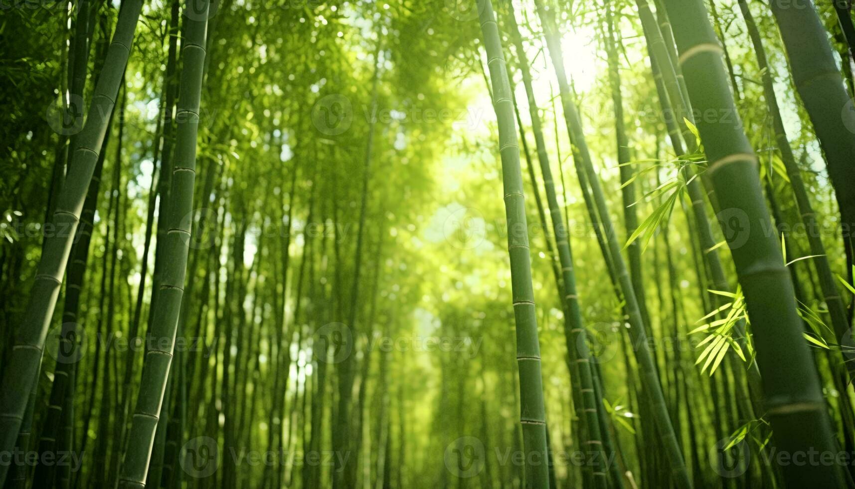 un sereno bambú bosque con dorado luz de sol transmisión mediante el denso follaje ai generado foto