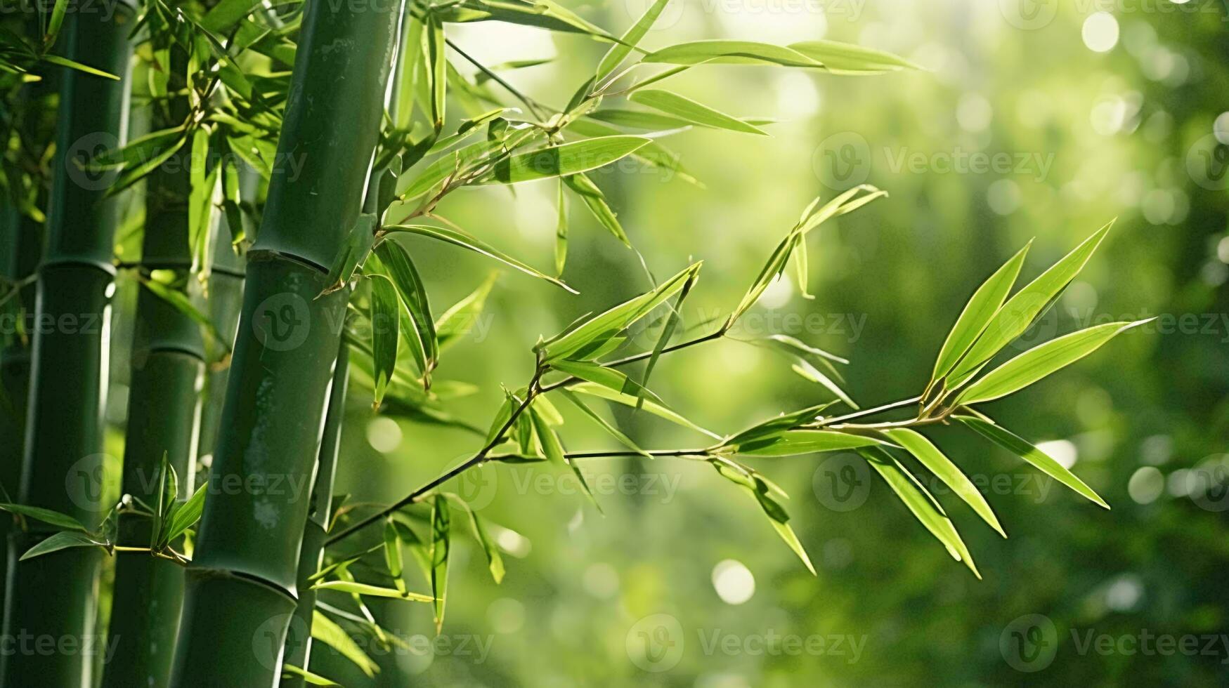 A vibrant bamboo tree illuminated by sunlight AI Generated photo