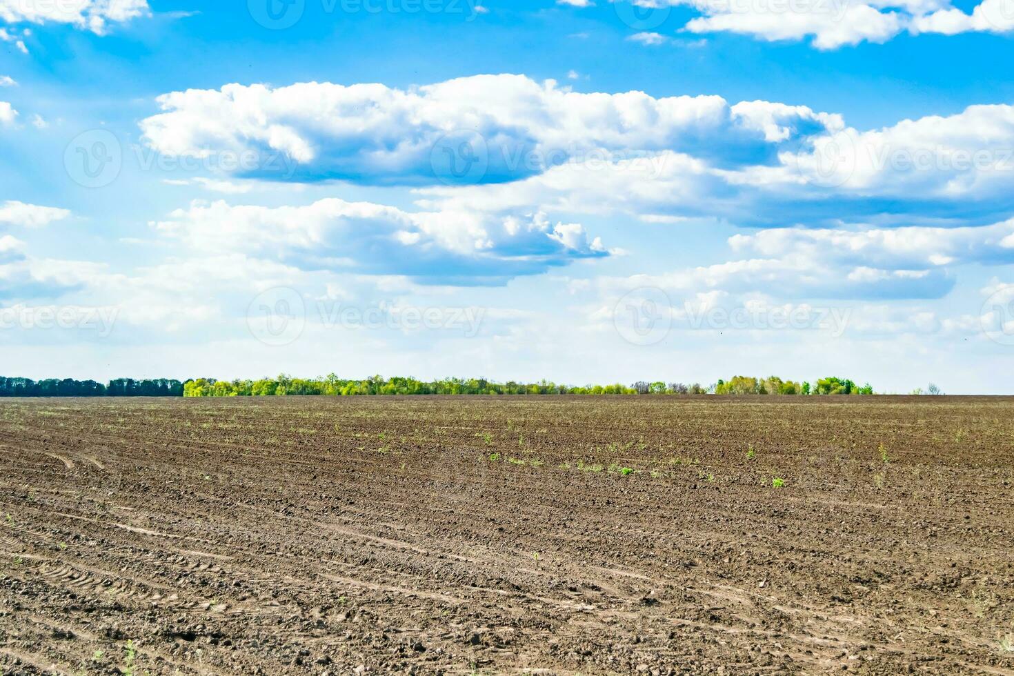 Photography on theme big empty farm field for organic harvest photo