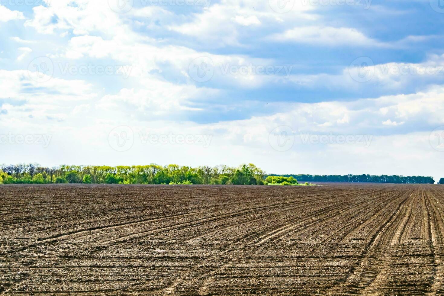 Photography on theme big empty farm field for organic harvest photo