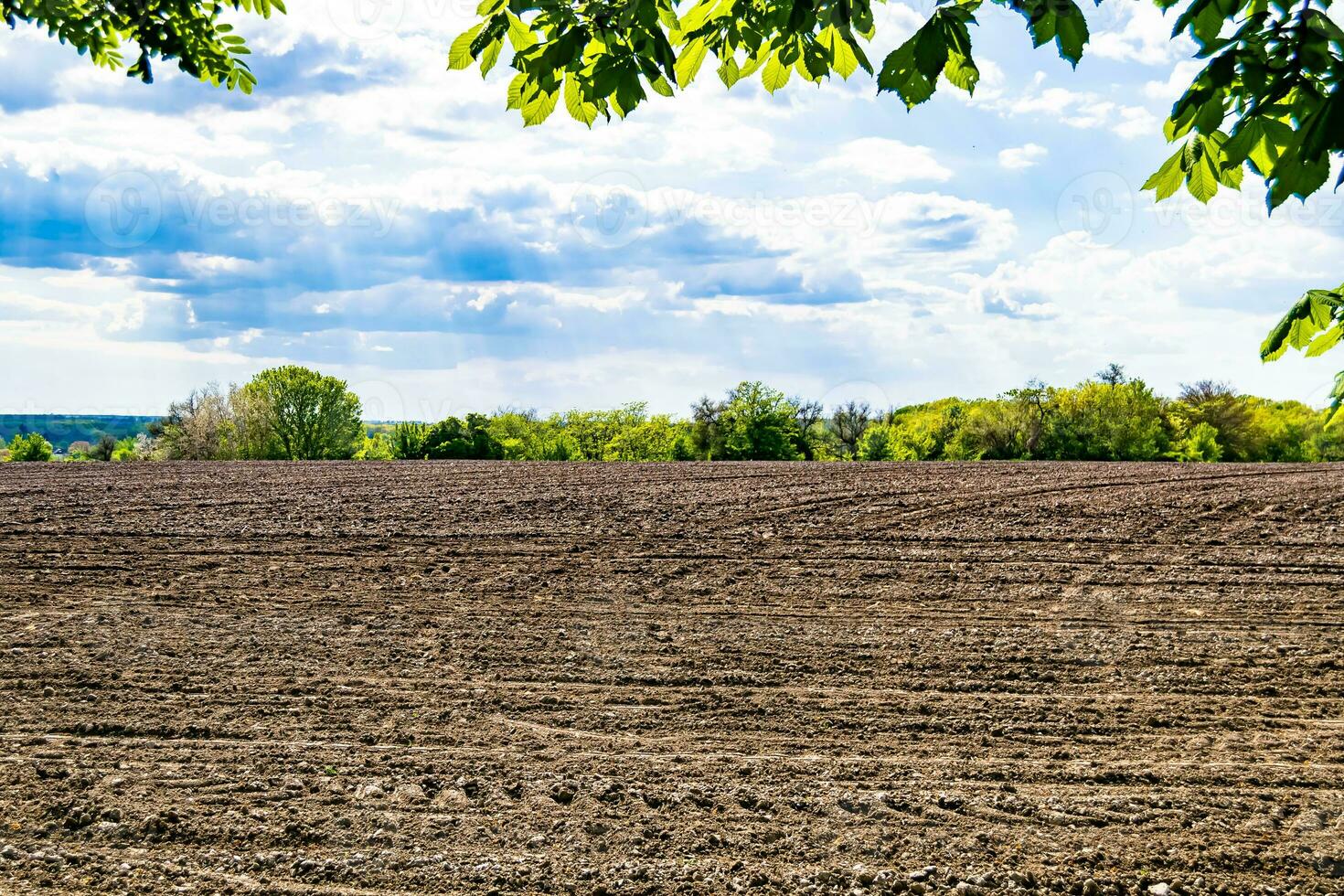 fotografía sobre el tema gran campo agrícola vacío para la cosecha orgánica foto