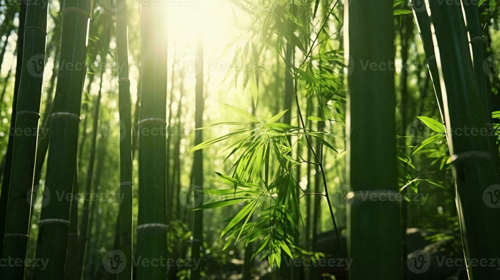 Sunlight streaming through a serene bamboo forest AI Generated photo