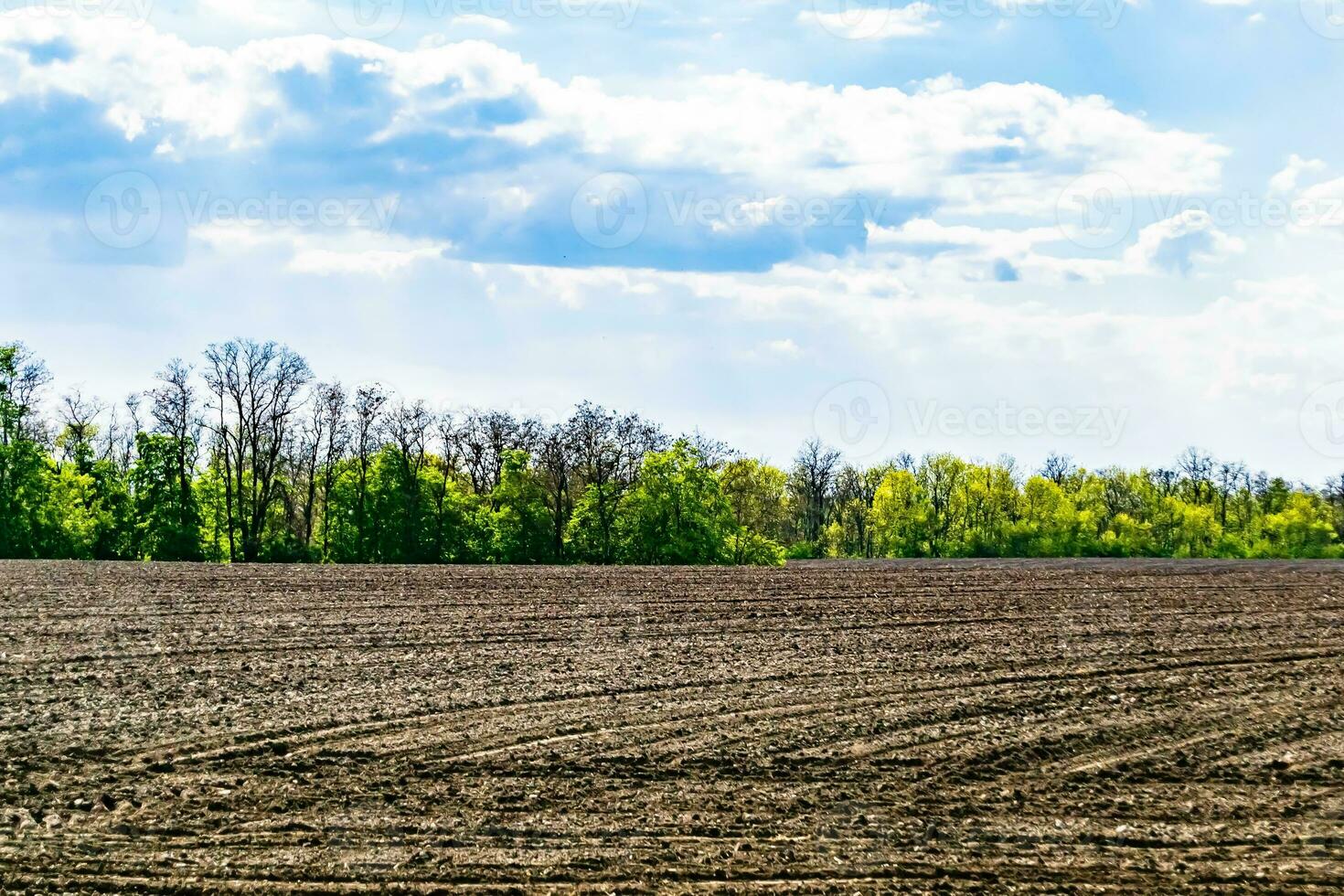 fotografía sobre el tema gran campo agrícola vacío para la cosecha orgánica foto