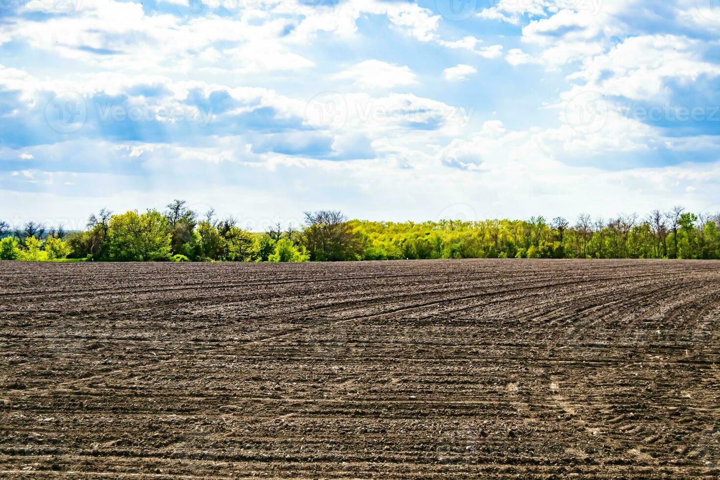 Photography on theme big empty farm field for organic harvest photo