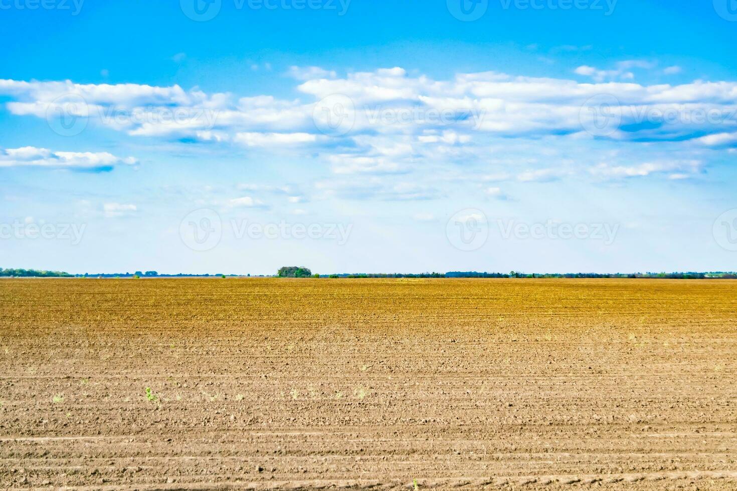Photography on theme big empty farm field for organic harvest photo