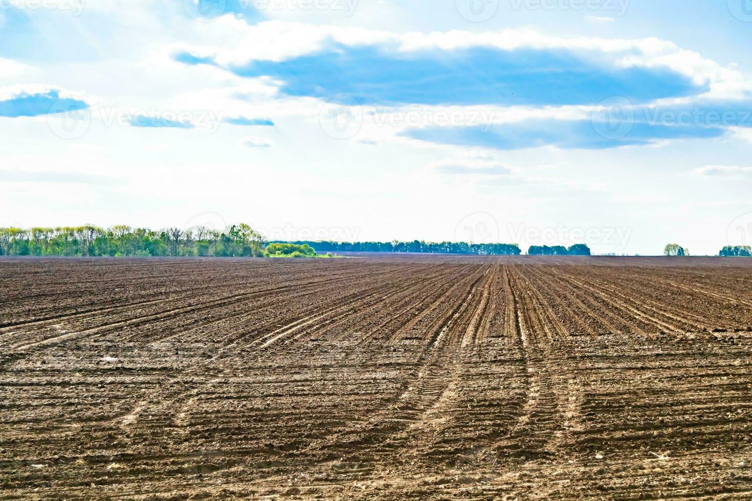 Photography on theme big empty farm field for organic harvest photo