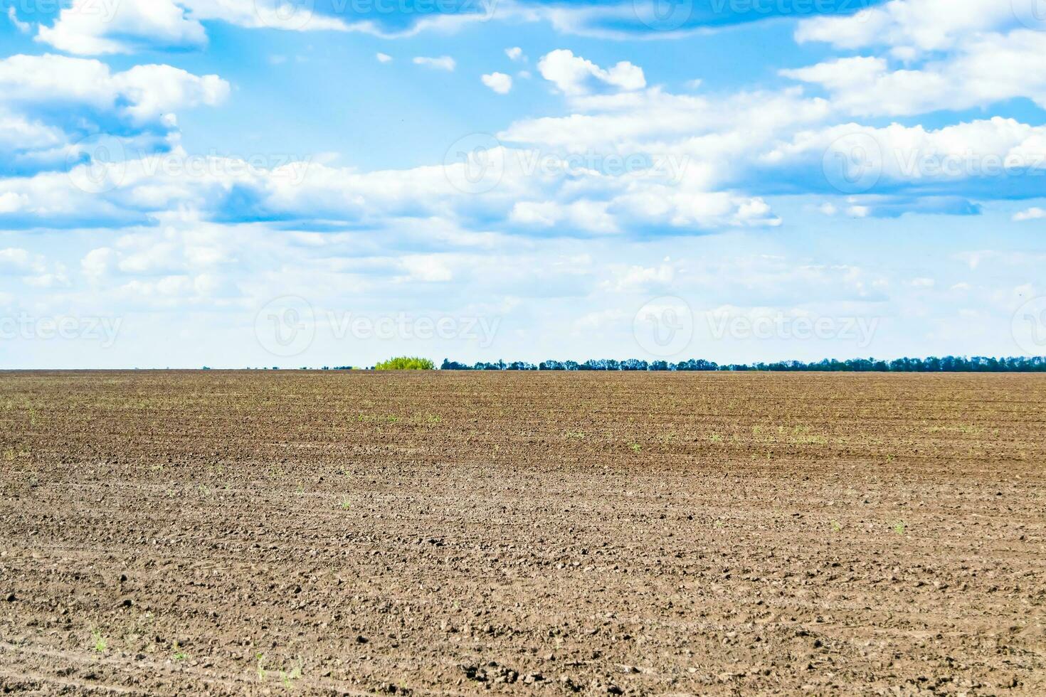 Photography on theme big empty farm field for organic harvest photo