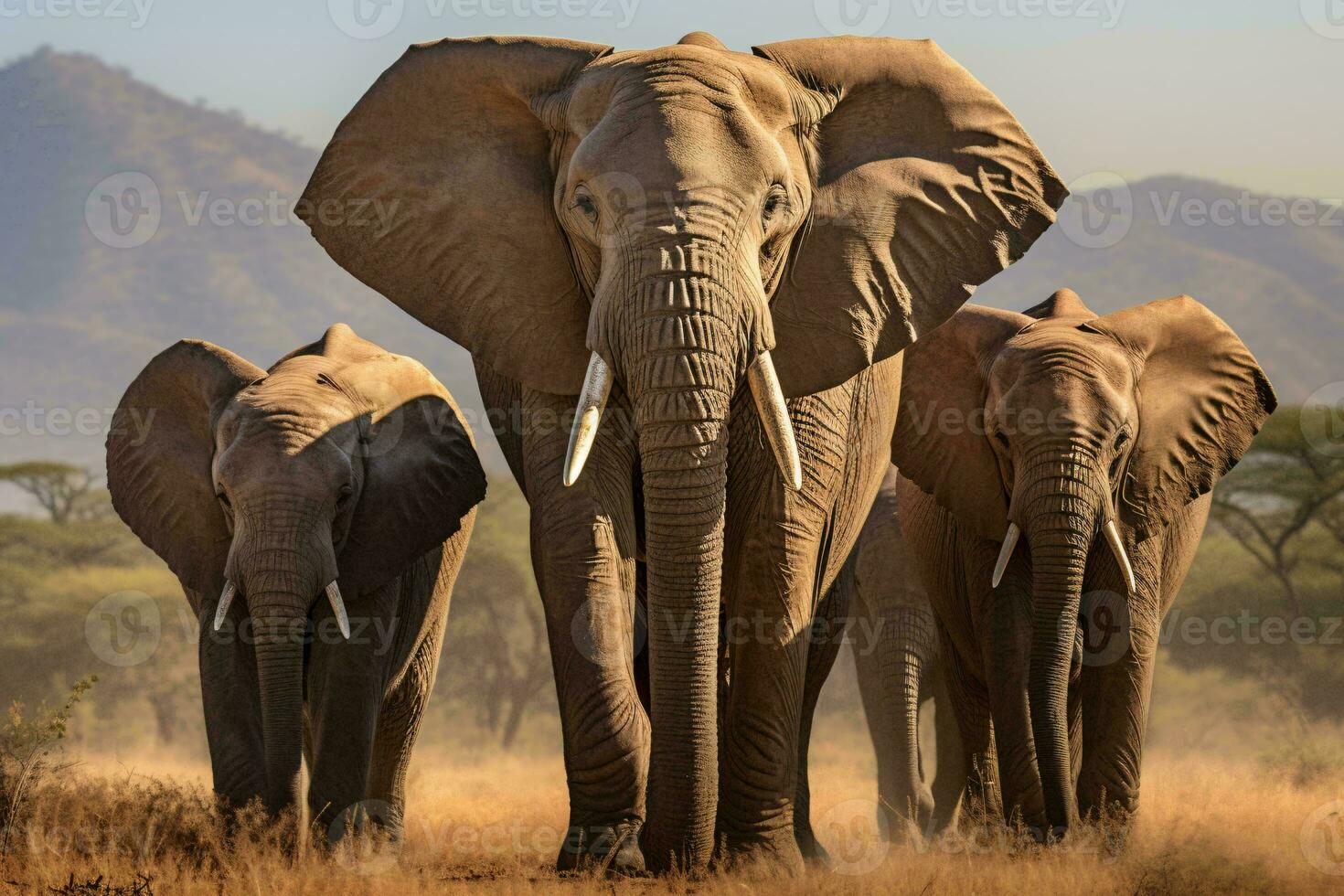 A majestic herd of elephants traversing a golden savannah landscape AI Generated photo