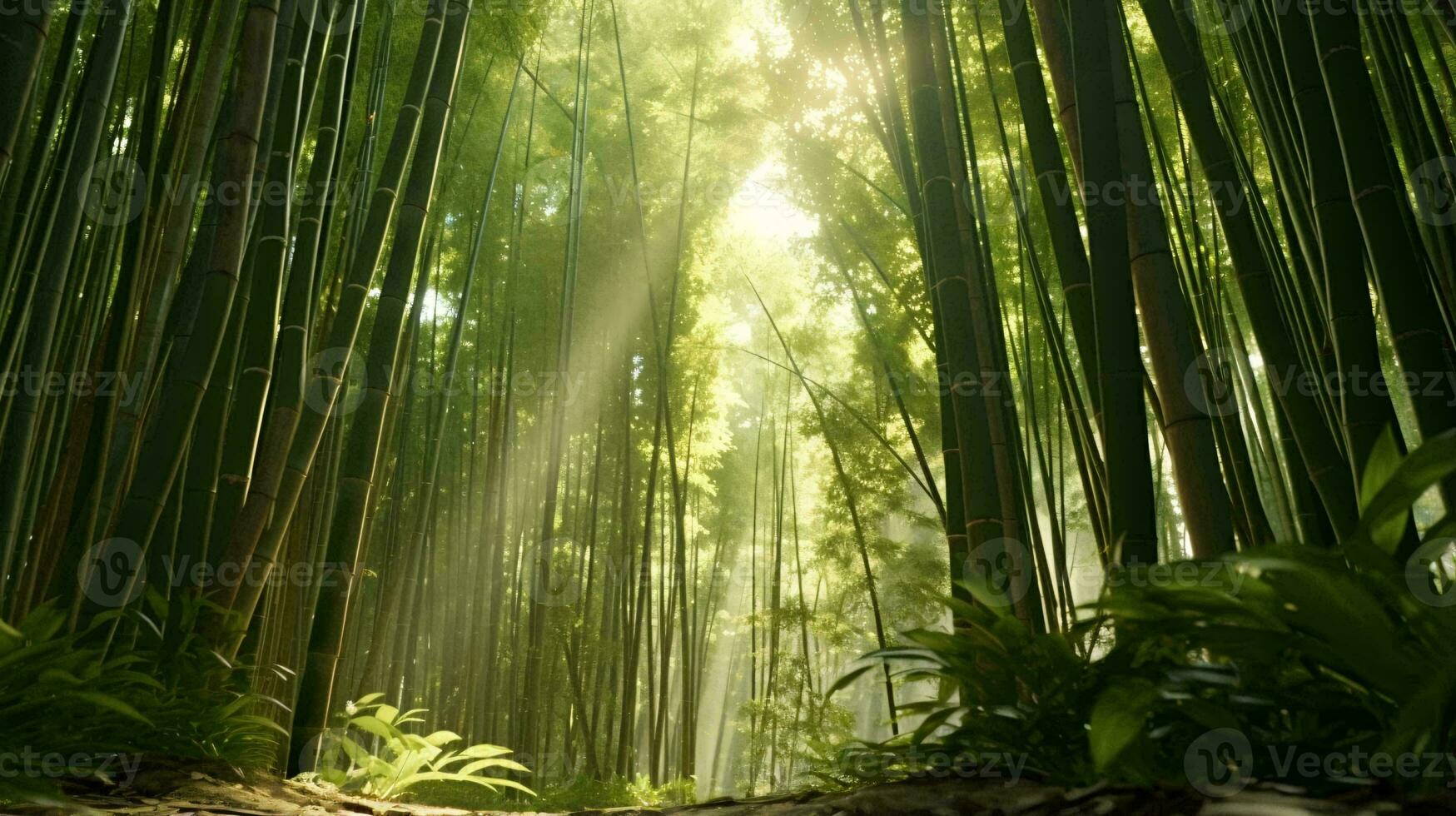 un bosque con alto arboles ai generado foto