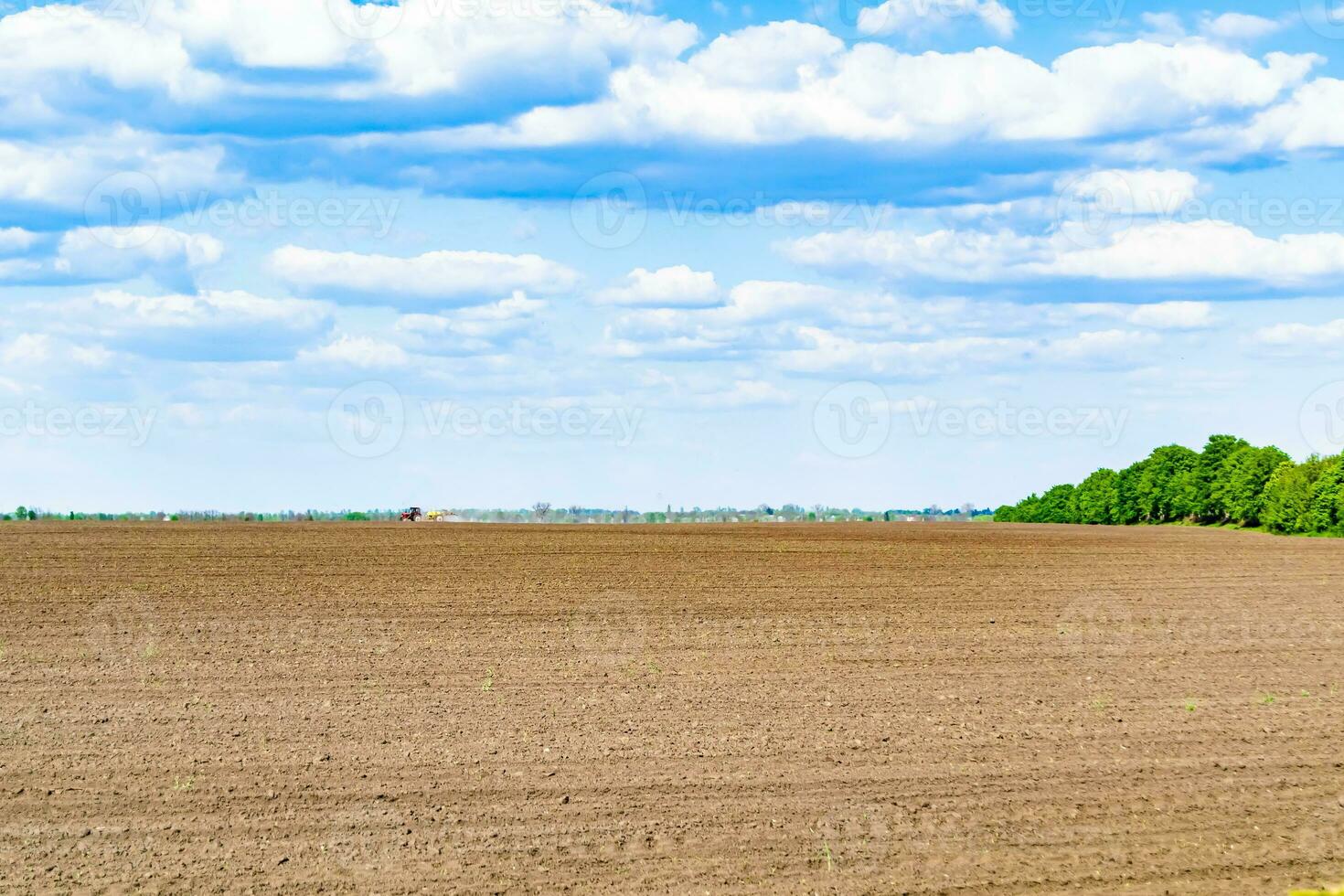 Photography on theme big empty farm field for organic harvest photo