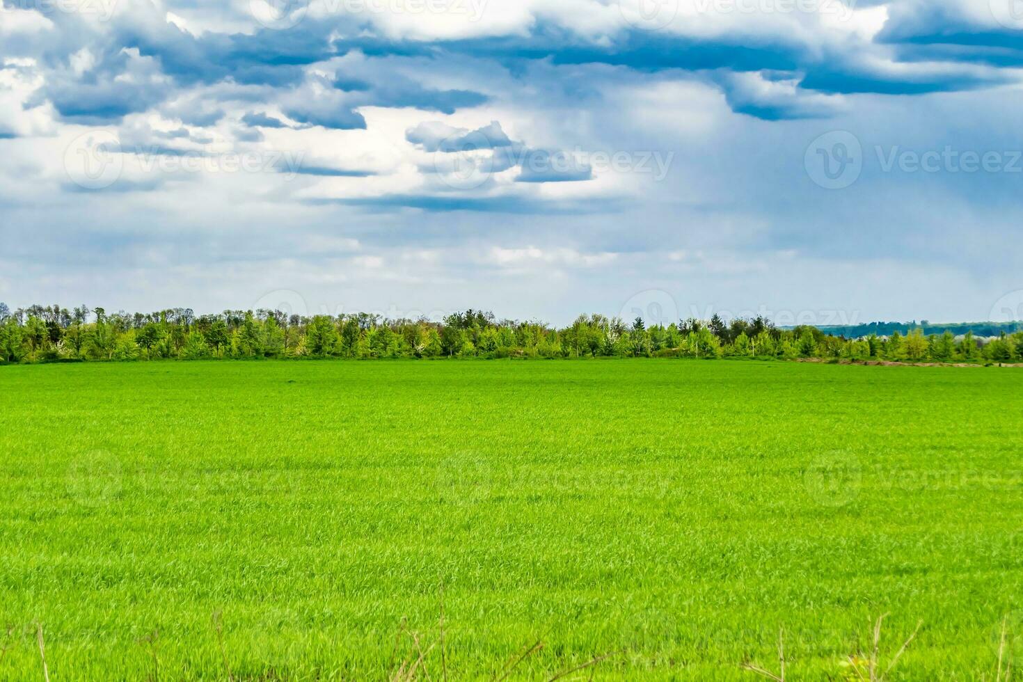 Beautiful horizon scenery in village meadow on color natural background photo