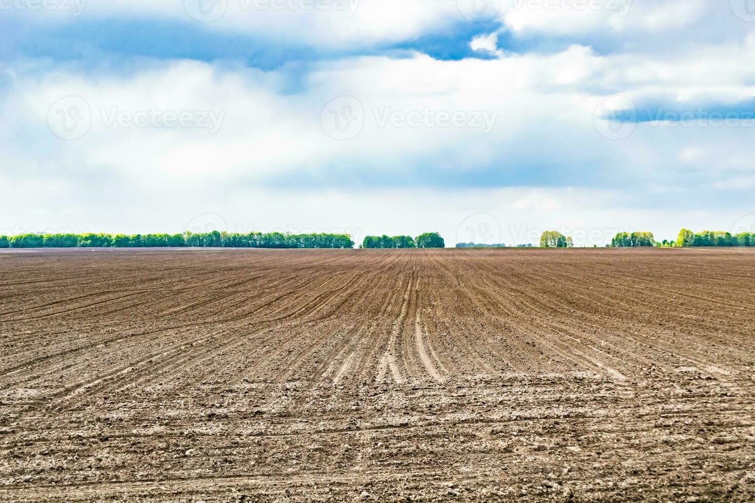 Photography on theme big empty farm field for organic harvest photo