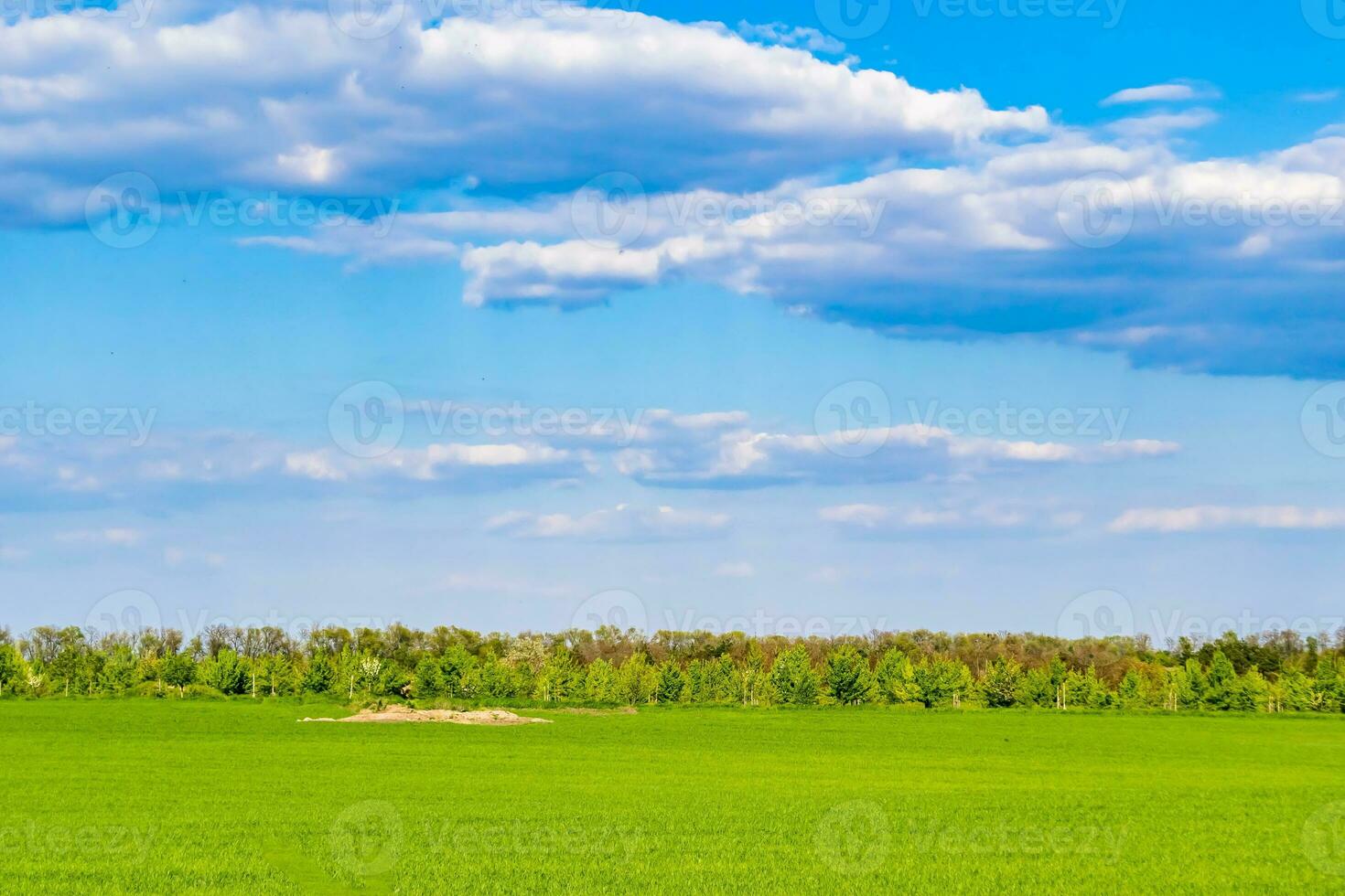 Beautiful horizon scenery in village meadow on color natural background photo