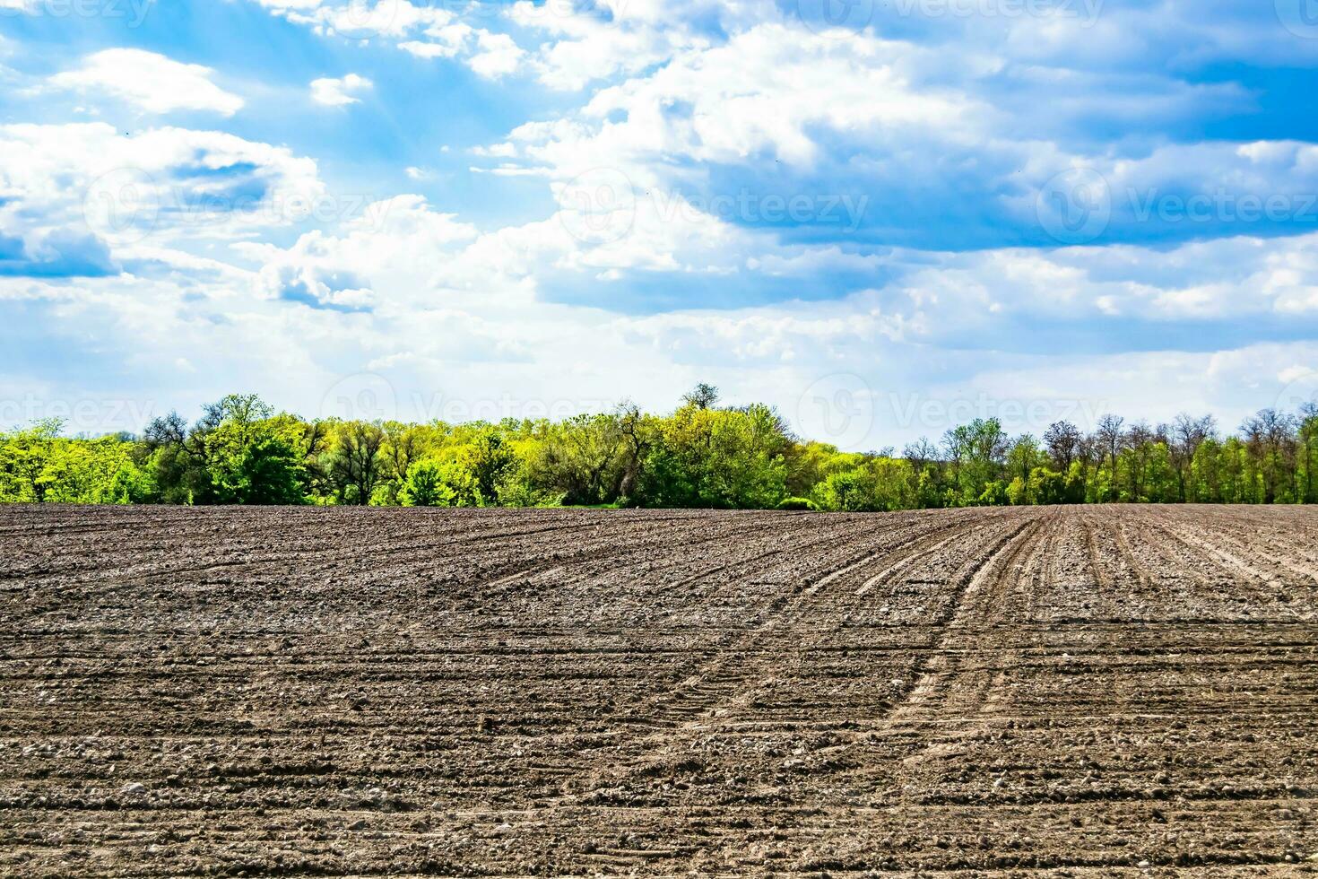Photography on theme big empty farm field for organic harvest photo