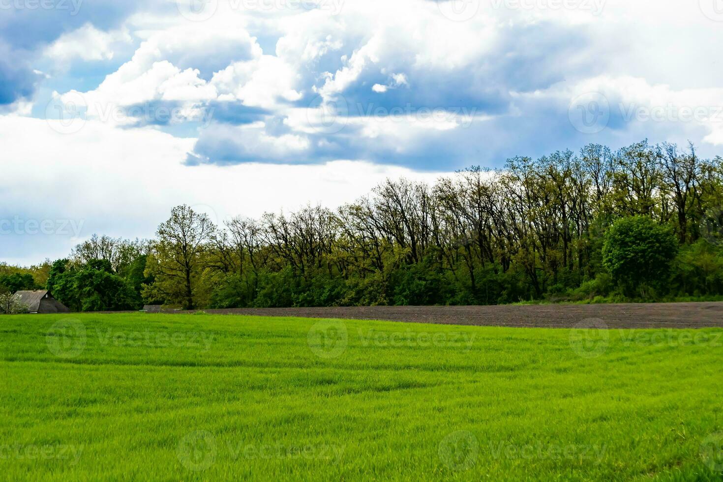 hermoso paisaje de horizonte en la pradera del pueblo sobre fondo natural de color foto