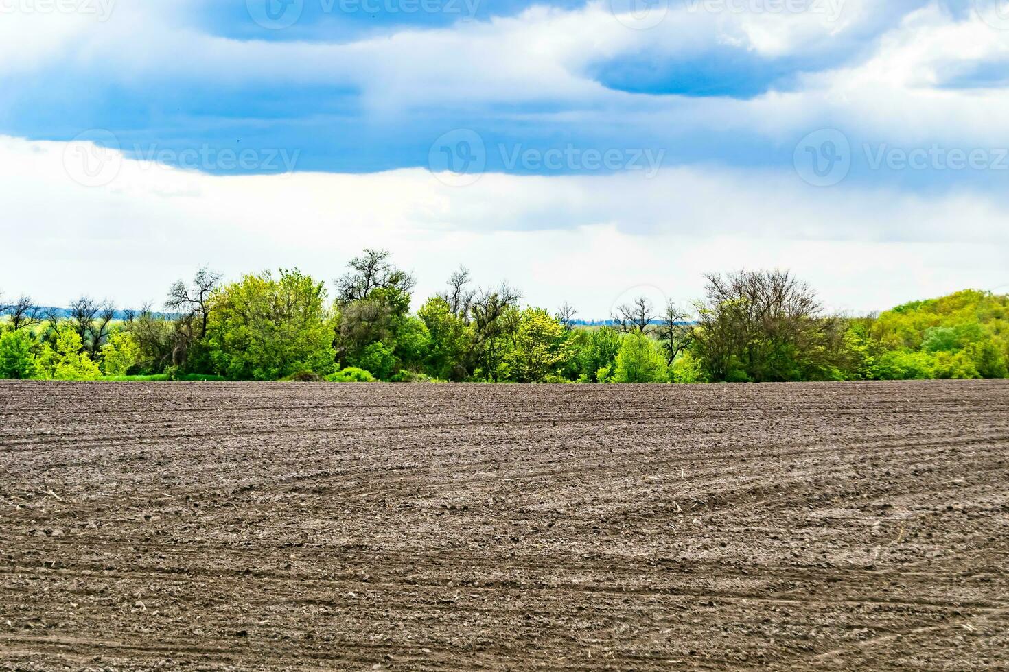 Photography on theme big empty farm field for organic harvest photo