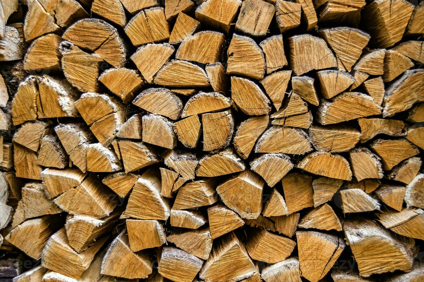 Fotografía sobre el tema de la gran pared de troncos de árboles de roble apilados en las grietas foto