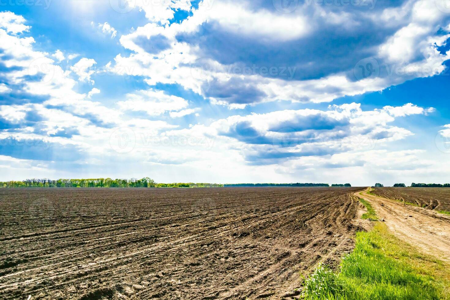 Photography on theme big empty farm field for organic harvest photo