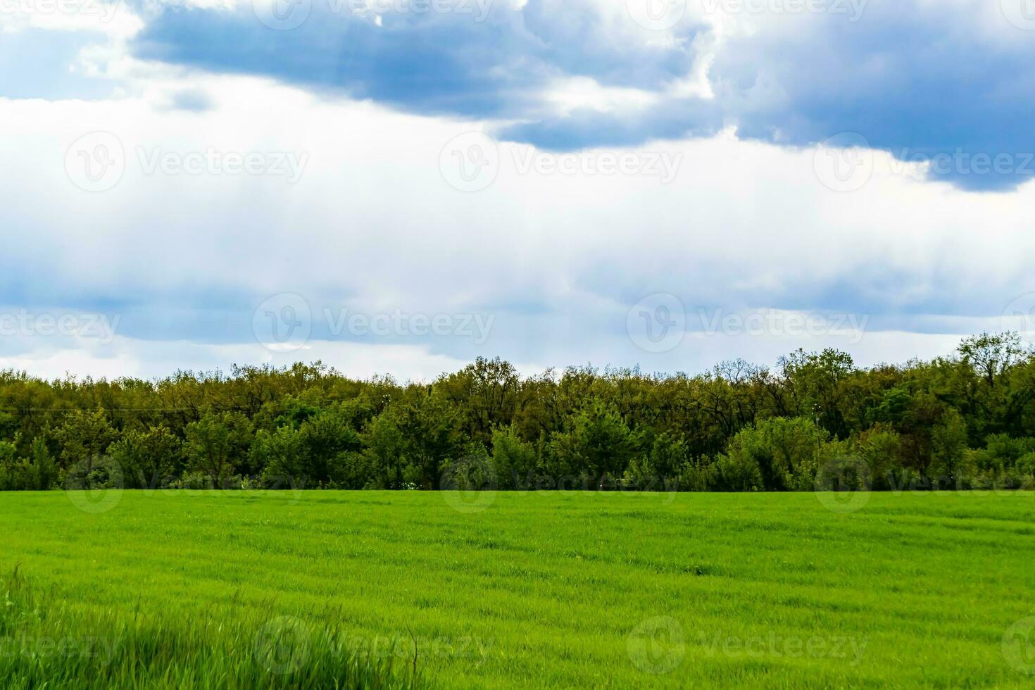 Beautiful horizon scenery in village meadow on color natural background photo