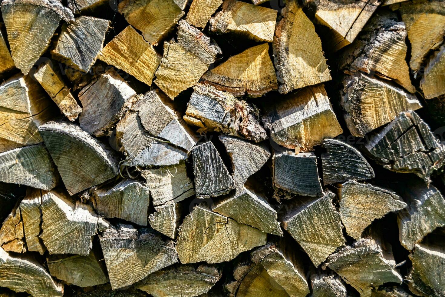 Photography on theme big wall of stacked oak tree logs in cracks photo