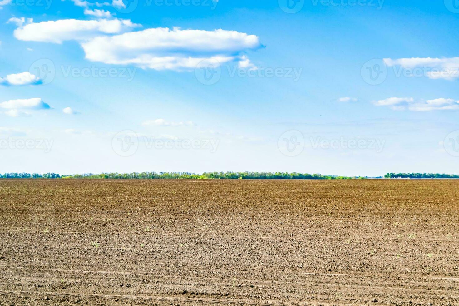 Photography on theme big empty farm field for organic harvest photo