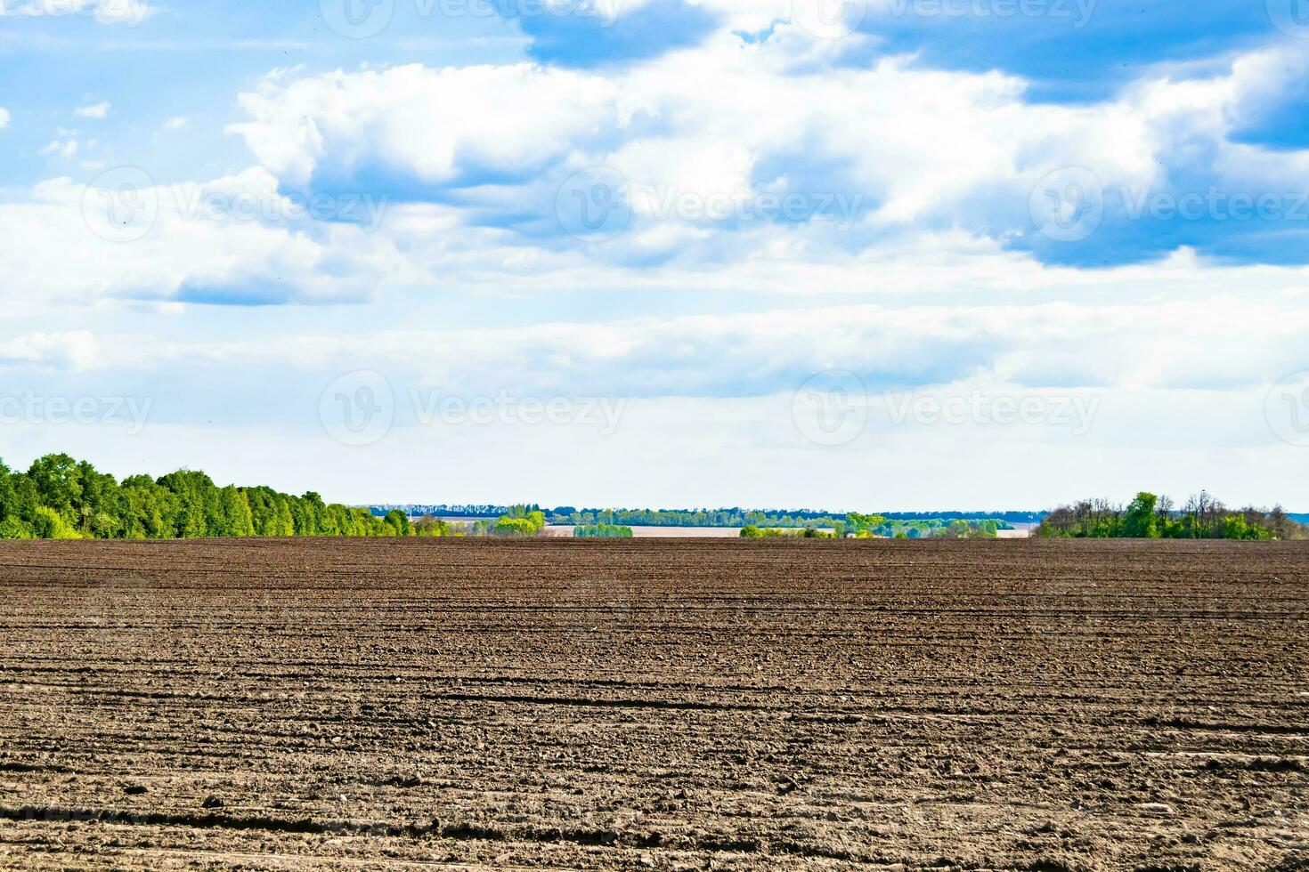 Photography on theme big empty farm field for organic harvest photo