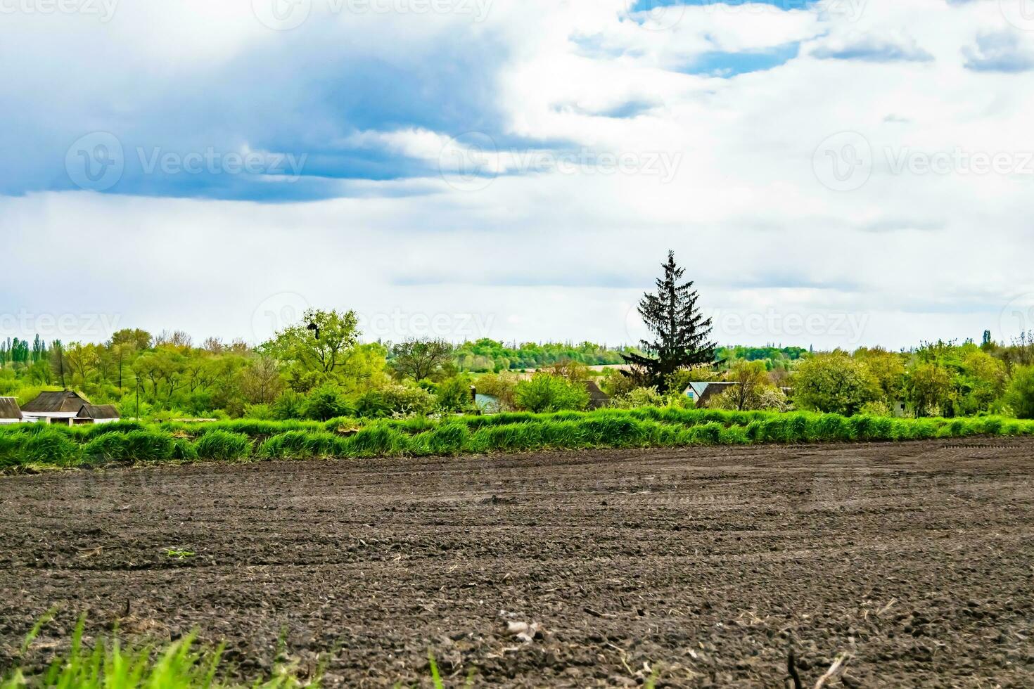 Photography on theme big empty farm field for organic harvest photo