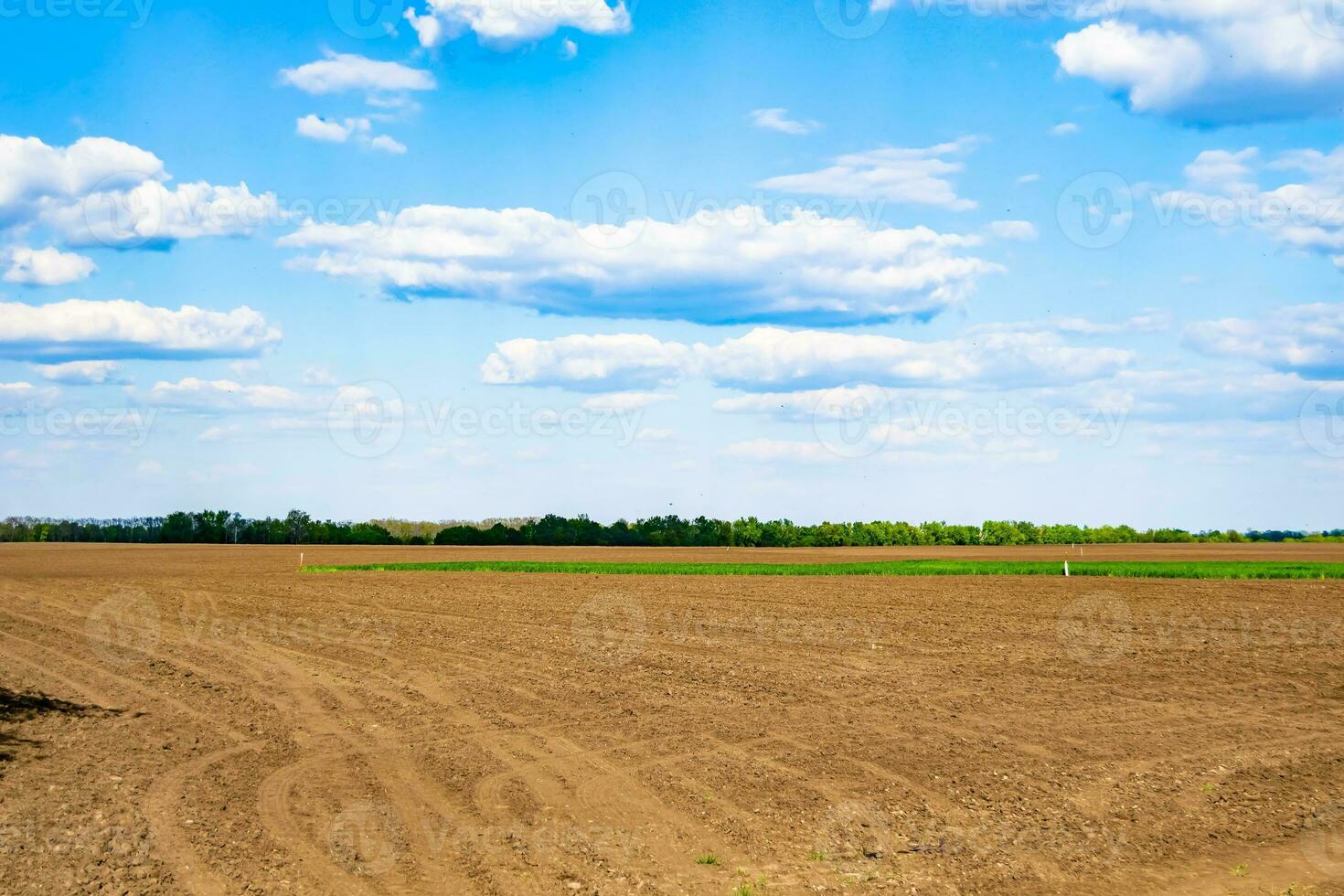 Photography on theme big empty farm field for organic harvest photo