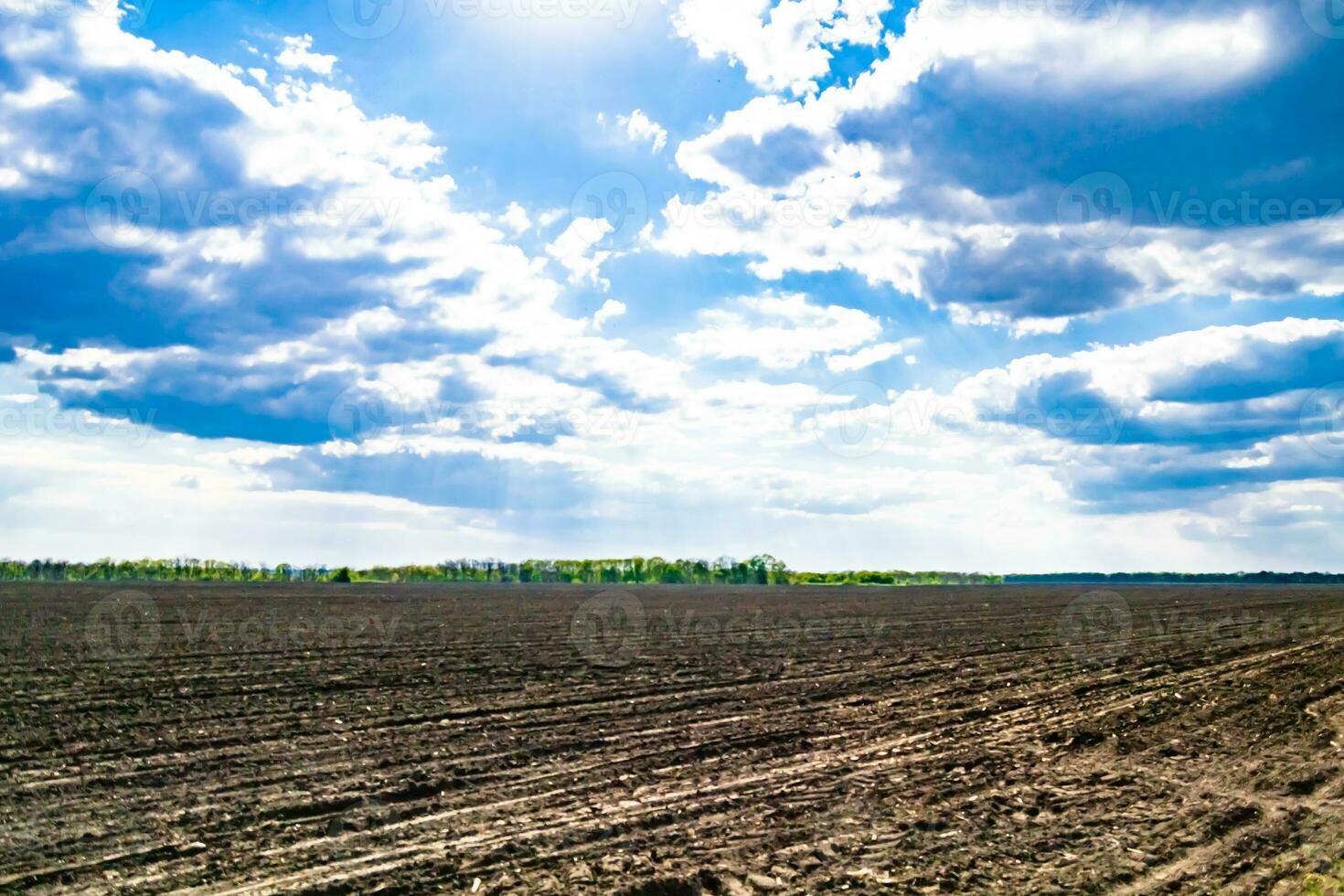 Photography on theme big empty farm field for organic harvest photo